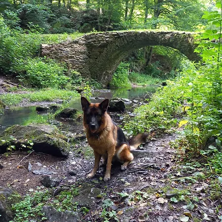 Kutna Hora -velky Rybnik
