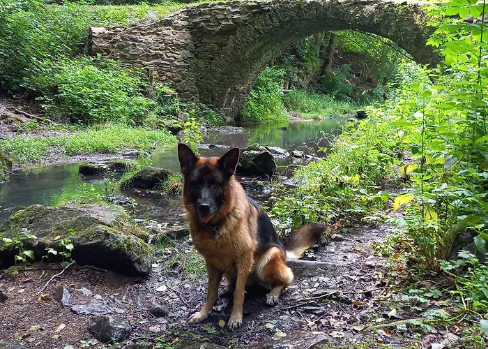 Kutna Hora -velky Rybnik